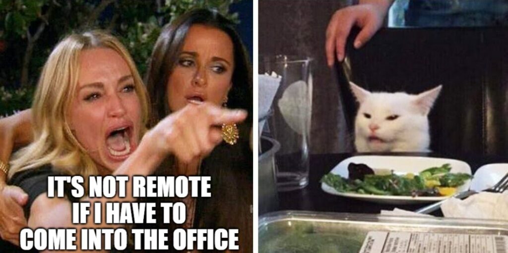 A woman shouting at a cat saying "it's not fully remote if i have to come into the office!"